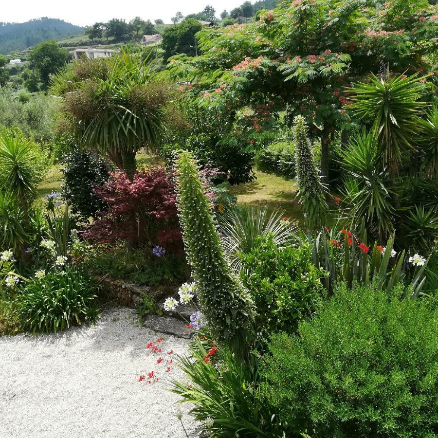 O Curralino Guest House Vilacoba Ngoại thất bức ảnh