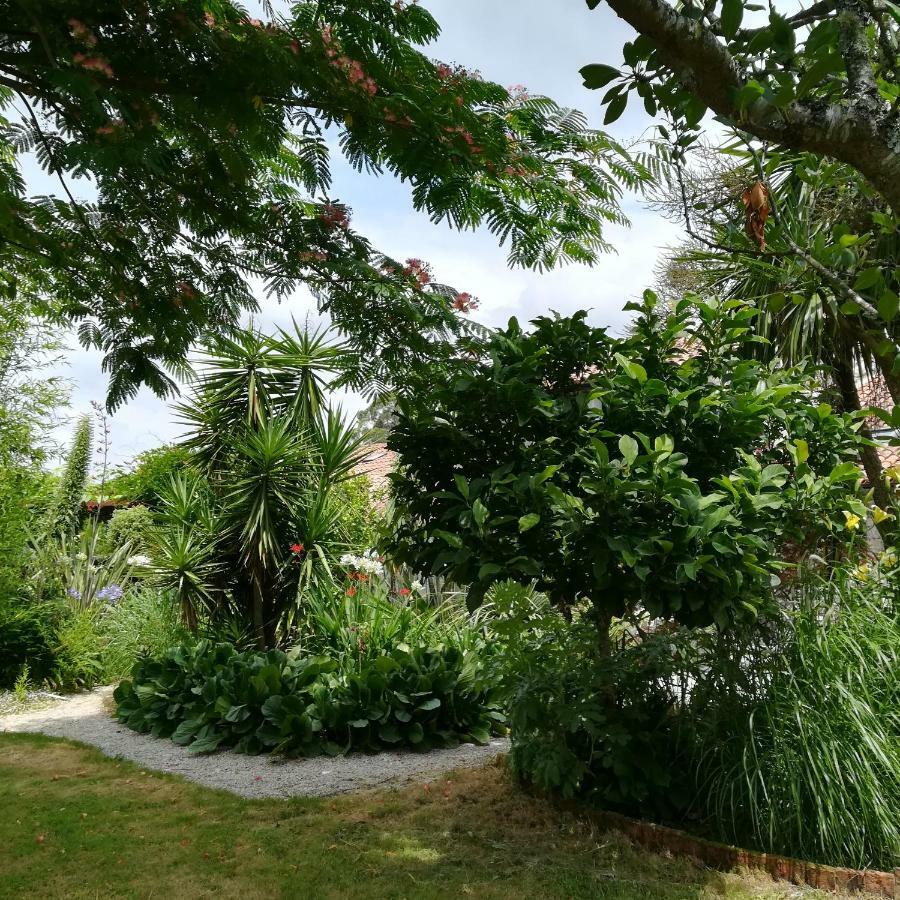 O Curralino Guest House Vilacoba Ngoại thất bức ảnh